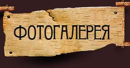 Фотообзор поделок из дерева