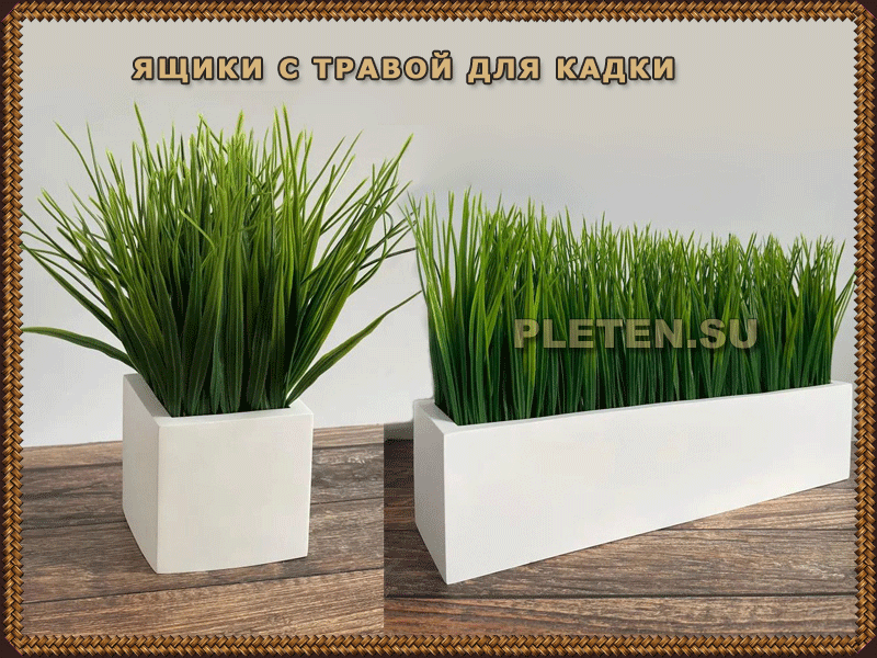 ящики с декоративной травой
